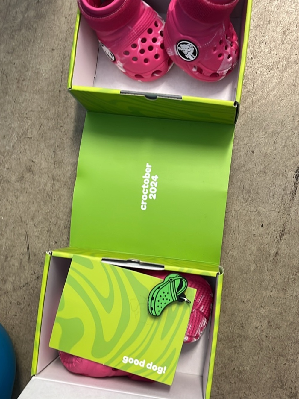 CROCS Kids Pink Classic Clog with Dog Charm